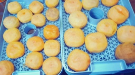 피터팬의 좋은방 구하기 신창동 신창초cu편의점 