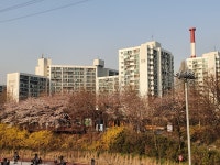 서울특별시 노원구 상계동 [매매] 12억 | 피터팬의 좋은방 구하기 서울특별시 노원구 상계동 [매매] 12억