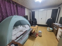 피터팬의 좋은방 구하기 역세권 정남향 밝고도 넓은집 보증금대출 빠른입주