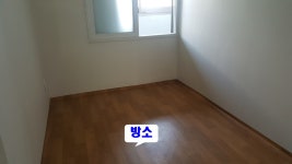 피터팬의 좋은방 구하기 괴정사남초등학교옆 아파트전세