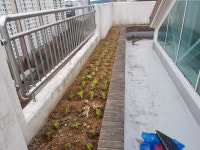 피터팬의 좋은방 구하기