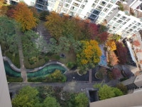 피터팬의 좋은방 구하기