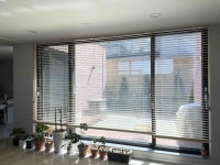 피터팬의 좋은방 구하기