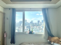 피터팬의 좋은방 구하기 💖City View💖🚂8평큰방🌟한국인만가능🌟건물앞 대림역🌟
