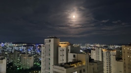 피터팬의 좋은방 구하기 탑층, 테라스 엔조이 라이프를 즐길 수 있습니다.