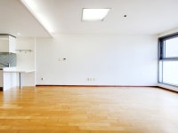 피터팬의 좋은방 구하기 📕가성비 NO.1 넓고 깔끔한 방, 고층 View & 채광📕