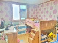 피터팬의 좋은방 구하기 넓은 마당있는집!!