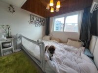 피터팬의 좋은방 구하기 신현동 세대분리가능한 3억대 복층빌라!!