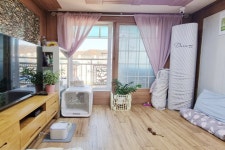 피터팬의 좋은방 구하기 🌷💡🍀🍄 주차100% / 저렴한 쓰리룸 !!