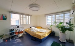 피터팬의 좋은방 구하기 선정릉역세권 깔끔한 주거형 사무실