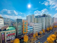 피터팬의 좋은방 구하기 [ 남향채광 + 전세대출 + 보증보험 ] 성남동 준신축 쓰리룸 특급매물