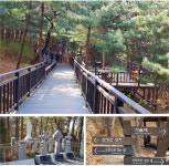 서울특별시 관악구 신림동 [월세] 150/50 원룸(방:1/욕실:1) | 피터팬의 좋은방 구하기 서울특별시 관악구 신림동 [월세] 150/50 원룸(방:1... 