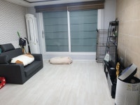 피터팬의 좋은방 구하기 소새울역 도보권 테라스 있는 쓰리룸  전세대출 보증보험 가능 