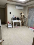 피터팬의 좋은방 구하기 동삭동 투룸