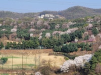 피터팬의 좋은방 구하기 88cc 전망. 탑층 복층. 주인거주 새집처럼 깨끗함 