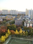 피터팬의 좋은방 구하기 진짜 위치 하나는 최고에요:) 내가 계양구만 사는이유