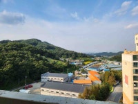 피터팬의 좋은방 구하기 삼포 23평 저렴한 집