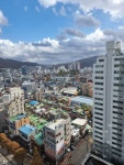 피터팬의 좋은방 구하기 지방이사로 급매/입주잏 협의가능
