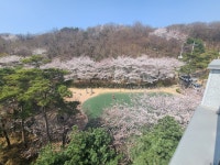 서울특별시 관악구 봉천동 [매매] 5억 8000 쓰리룸+(방:4/욕실:2)... 구하기 서울특별시 관악구 봉천동 [매매] 5억 8000 쓰리룸+(방:4/욕실:2)