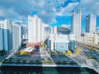 피터팬의 좋은방 구하기 [월세]🟥🟧🟨피터팬 1등 부동산 실사진 실매물🟩🟦🟪
