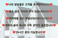 피터팬의 좋은방 구하기 [월세]🟥🟧🟨피터팬 1등 부동산 실사진 실매물🟩🟦🟪