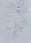 피터팬의 좋은방 구하기 오정동 농수산물시장 근처 창고 매매