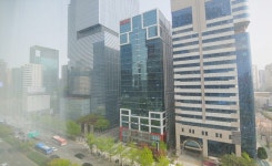 서울특별시 서초구 서초동 [월세] 8000/700 투룸(방:2/욕실:2) | 피터팬의 좋은방 구하기 서울특별시 서초구 서초동 [월세] 8000/700 투룸(방... 