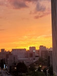 서울특별시 강남구 논현동 [단기임대] 110/110 원룸(방:1/욕실:1) | 피터팬의 좋은방 구하기 서울특별시 강남구 논현동 [단기임대] 110/110... 