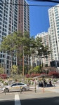 부산광역시 동래구 명장동 [월세] 1000/70 원룸(방:1/욕실:1) | 피터팬의 좋은방 구하기 부산광역시 동래구 명장동 [월세] 1000/70 원룸(방:1... 