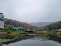 경기도 구리시 교문동 [매매] 4억 5000 쓰리룸+(방:3/욕실:2) | 피터팬의 좋은방 구하기 경기도 구리시 교문동 [매매] 4억 5000 쓰리룸+(방:3... 