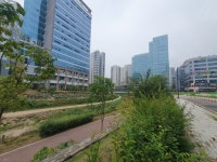 경기도 고양시 덕양구 향동동 [월세] 300/60 원룸(방:1/욕실:1) | 피터팬의 좋은방 구하기 경기도 고양시 덕양구 향동동 [월세] 300/60 원룸(방... 