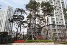 경기도 안양시 동안구 관양동 [매매] 14억 쓰리룸+(방:4/욕실:2) | 피터팬의 좋은방 구하기 경기도 안양시 동안구 관양동 [매매] 14억 쓰리룸+(방... 