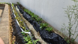 경기도 화성시 반송동 [매매] 11억 8000 쓰리룸+(방:3/욕실:2)... 좋은방 구하기 경기도 화성시 반송동 [매매] 11억 8000 쓰리룸+(방:3/욕실:2)