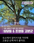 경상북도 경산시 임당동 [월세] 100/28 1.5룸(방:1/욕실:1) | 피터팬의 좋은방 구하기 경상북도 경산시 임당동 [월세] 100/28 1.5룸(방:1/욕실:1)