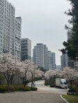 서울특별시 중랑구 신내동 [매매] 7억 2500 쓰리룸+(방:3/욕실:2)... 구하기 서울특별시 중랑구 신내동 [매매] 7억 2500 쓰리룸+(방:3/욕실:2)