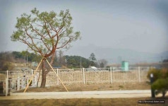 경기도 양평군 강상면 [매매] 3억 4900 건물전체(방:3/욕실:3)... 좋은방 구하기 경기도 양평군 강상면 [매매] 3억 4900 건물전체(방:3/욕실:3)