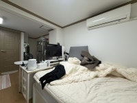 경기도 수원시 권선구 세류동 [월세] 1000/35 원룸(방:1/욕실:1) | 피터팬의 좋은방 구하기 경기도 수원시 권선구 세류동 [월세] 1000/35 원룸... 