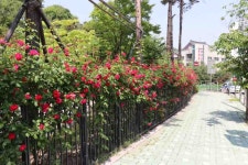 서울특별시 성북구 보문동3가 [월세] 1000/50 1.5룸(방:1/욕실:1) | 피터팬의 좋은방 구하기 서울특별시 성북구 보문동3가 [월세] 1000/50... 