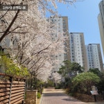 서울특별시 강서구 마곡동 [매매] 14억 4000 쓰리룸+(방:3/욕실:2) | 피터팬의 좋은방 구하기 서울특별시 강서구 마곡동 [매매] 14억 4000... 