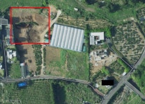 제주특별자치도 서귀포시 동홍동 [매매] 3억 9600 토지/임야... 좋은방 구하기 제주특별자치도 서귀포시 동홍동 [매매] 3억 9600 토지/임야