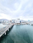 부산광역시 영도구 대교동1가 [월세] 500/50 원룸(방:1/욕실:1)... 좋은방 구하기 부산광역시 영도구 대교동1가 [월세] 500/50 원룸(방:1/욕실:1)
