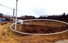 충청남도 천안시 동남구 수신면 [매매] 1억 9000 토지/임야 | 피터팬의 좋은방 구하기 충청남도 천안시 동남구 수신면 [매매] 1억 9000 토지/임야