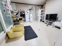 서울특별시 노원구 월계동 [월세] 8650/12 투룸(방:2/욕실:1) | 피터팬의 좋은방 구하기 서울특별시 노원구 월계동 [월세] 8650/12 투룸(방:2... 