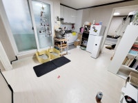 서울특별시 노원구 월계동 [월세] 8650/12 투룸(방:2/욕실:1) | 피터팬의 좋은방 구하기 서울특별시 노원구 월계동 [월세] 8650/12 투룸(방:2... 