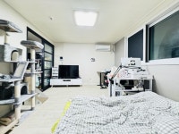 경기도 수원시 권선구 세류동 [월세] 8500/20 1.5룸(방:1/욕실:1) | 피터팬의 좋은방 구하기 경기도 수원시 권선구 세류동 [월세] 8500/20 1.... 