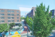 서울특별시 송파구 오금동 [전세] 6억 1800 쓰리룸+(방:3/욕실:2)... 구하기 서울특별시 송파구 오금동 [전세] 6억 1800 쓰리룸+(방:3/욕실:2)