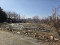 충청남도 천안시 동남구 원성동 [매매] 4억 9345 토지/임야 | 피터팬의 좋은방 구하기 충청남도 천안시 동남구 원성동 [매매] 4억 9345 토지/임야