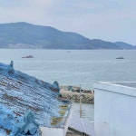 경상남도 남해군 남해읍 [매매] 6500 쓰리룸+(방:3/욕실:2) | 피터팬의 좋은방 구하기 경상남도 남해군 남해읍 [매매] 6500 쓰리룸+(방:3/욕실:2)