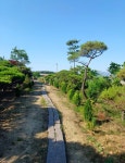 경기도 화성시 만세구 장안면 [매매] 2억 토지/임야 | 피터팬의 좋은방 구하기 경기도 화성시 만세구 장안면 [매매] 2억 토지/임야