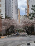 경기도 성남시 분당구 삼평동 [매매] 33억 8000 쓰리룸+(방:4/욕실:2)... 경기도 성남시 분당구 삼평동 [매매] 33억 8000 쓰리룸+(방:4/욕실:2)